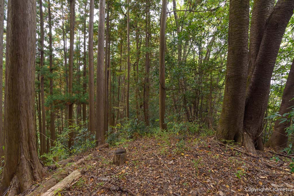 青梅市・吹上峠から青梅丘陵登山道・小ピーク