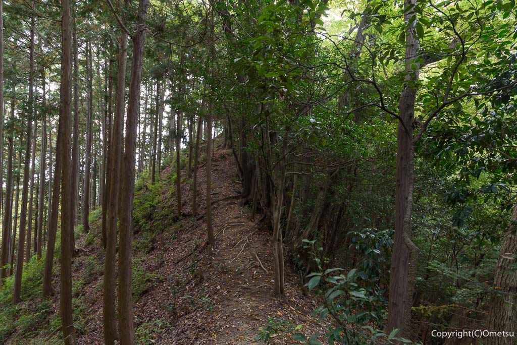 青梅市・吹上峠から青梅丘陵登山道の稜線