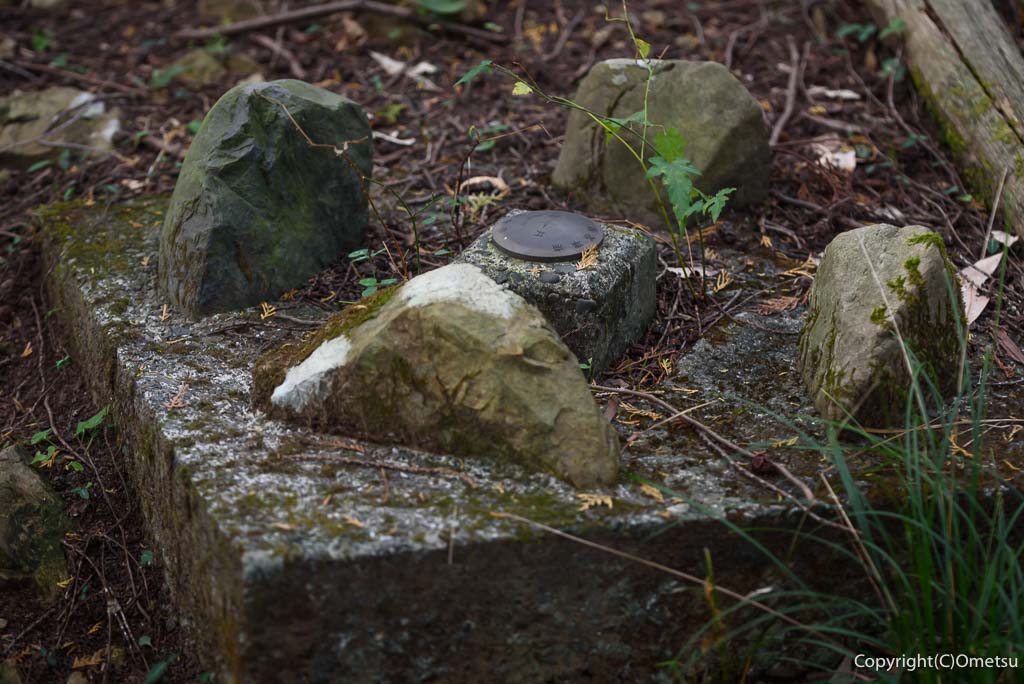 青梅市・吹上峠から青梅丘陵登山道・314mピークの、基準点