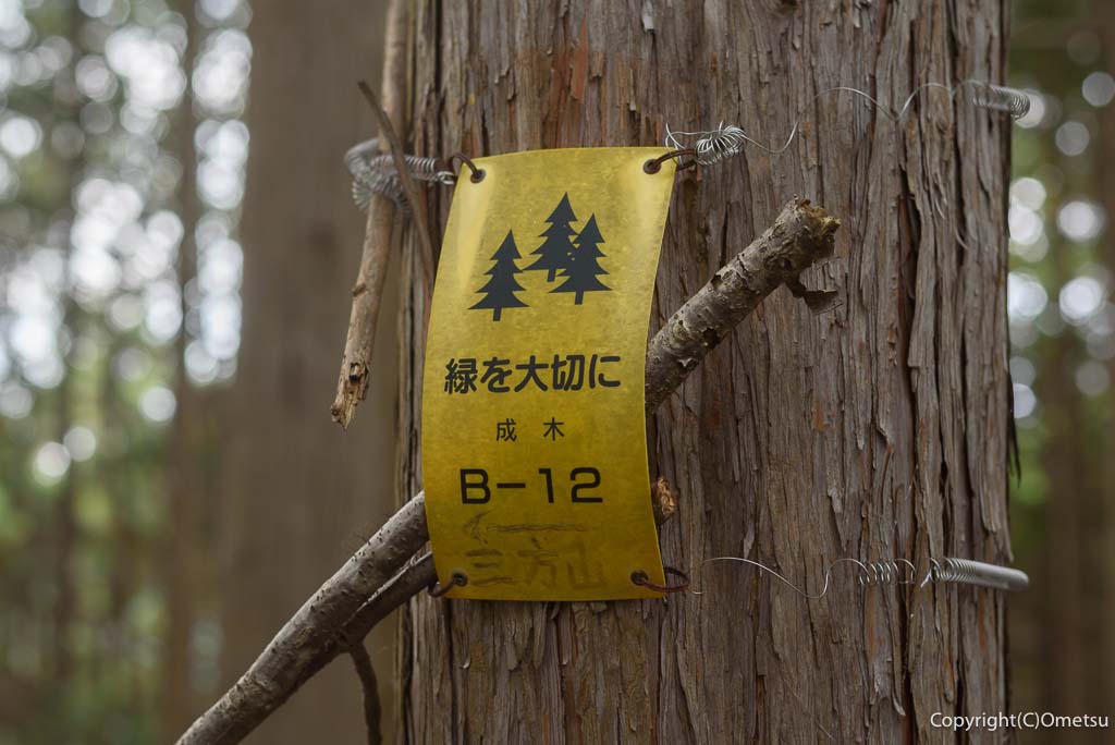 青梅市・吹上峠から青梅丘陵登山道・390mピークの、標識