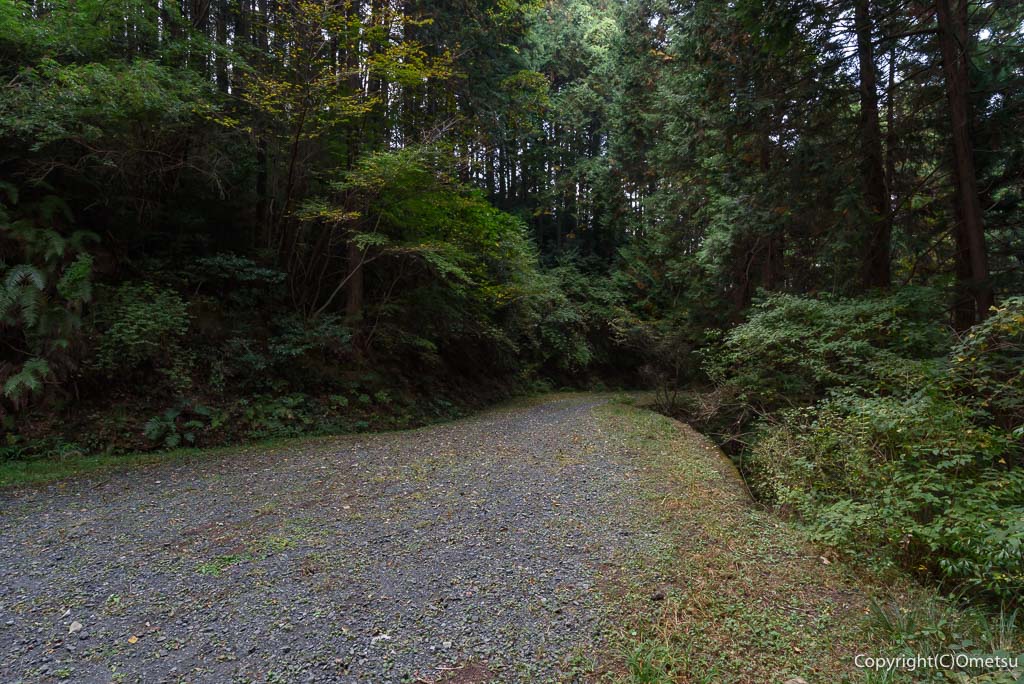 青梅市・栗平林道