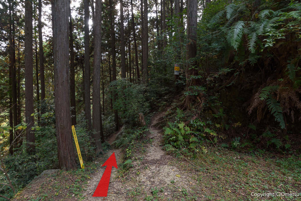 青梅市・栗平林道から、青梅丘陵の登山道