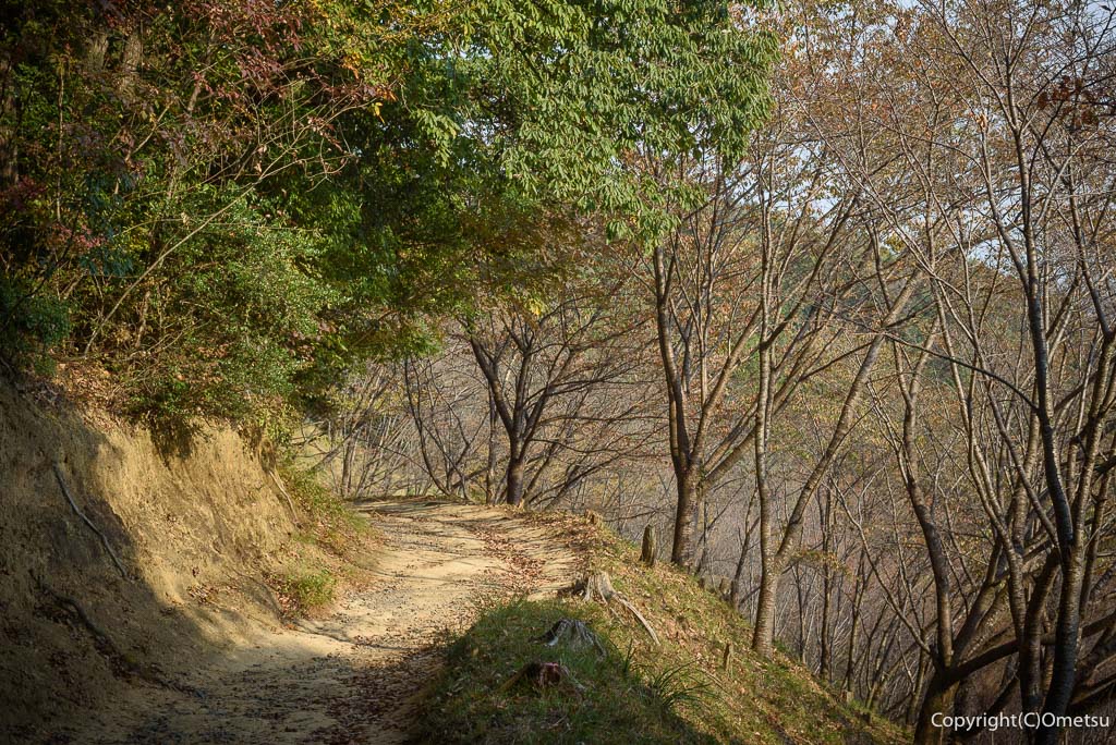 青梅市・青梅丘陵の、登山道