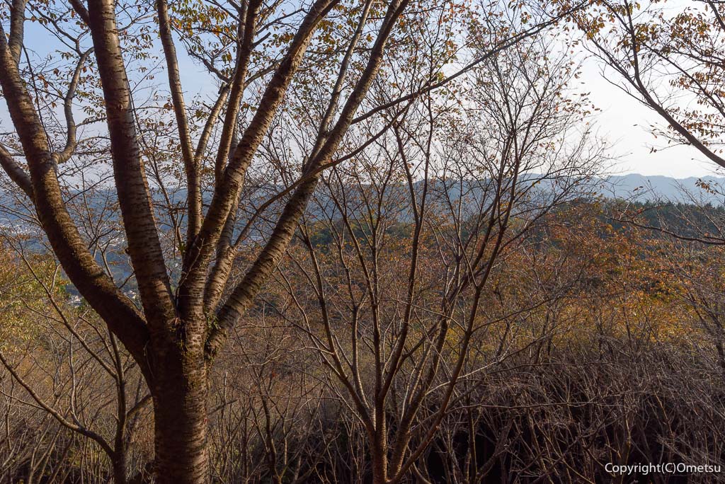 青梅市・青梅丘陵からの、展望