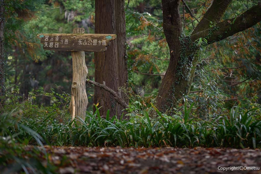 青梅市・青梅丘陵の、道標