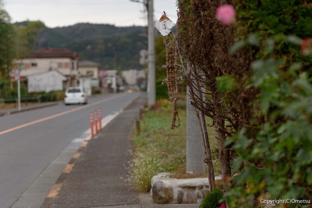 青梅市・岩蔵温泉の、岩蔵炭鉱前のフセギ
