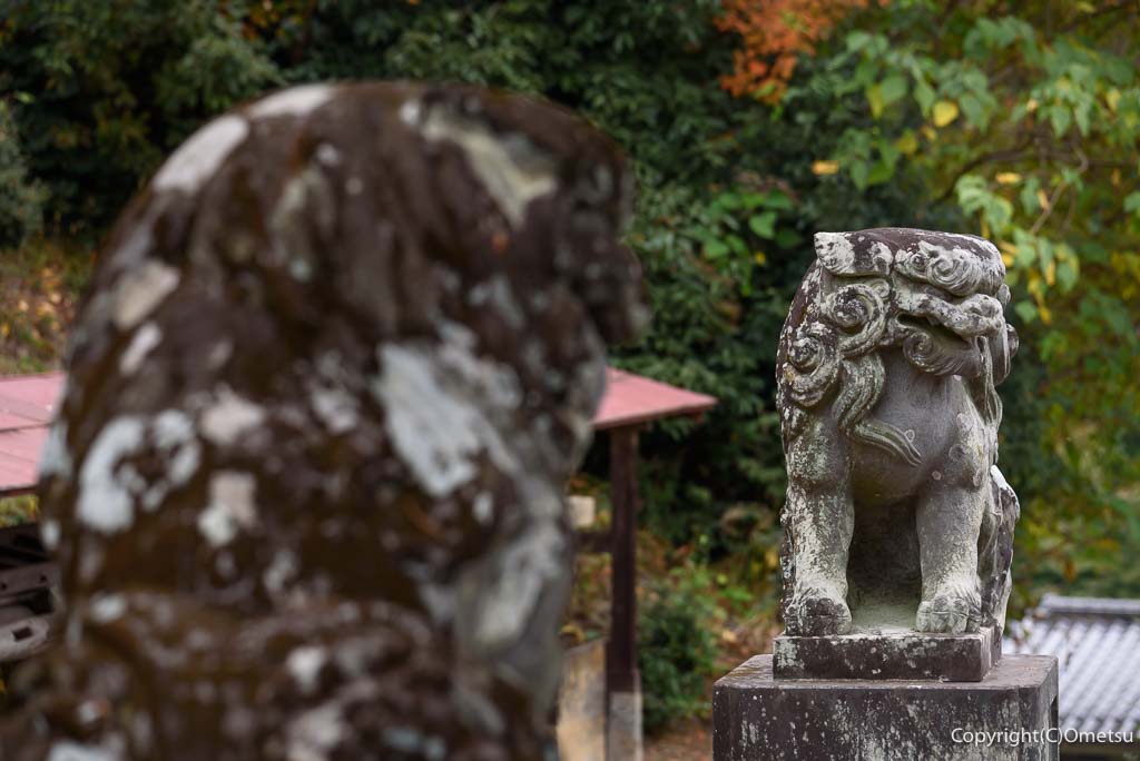 青梅市・岩蔵温泉の、岩蔵御嶽神社の、狛犬