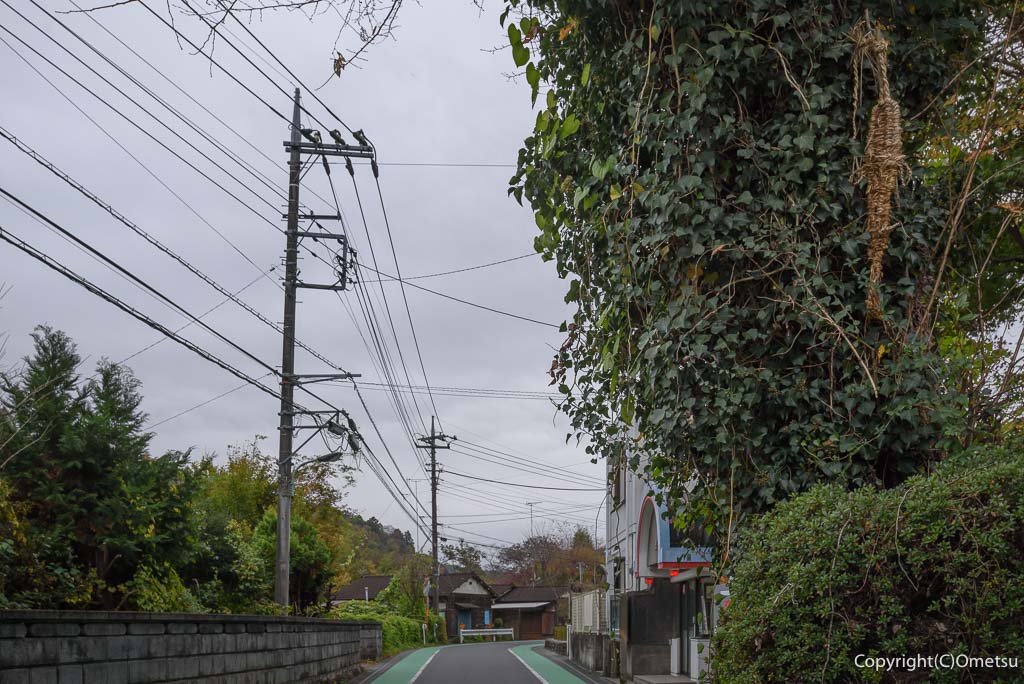 青梅市・岩蔵温泉の、消防団のフセギ