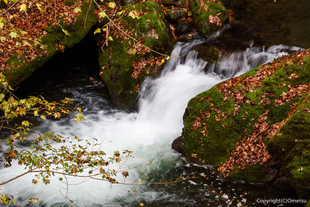 檜原村・神戸川の清流