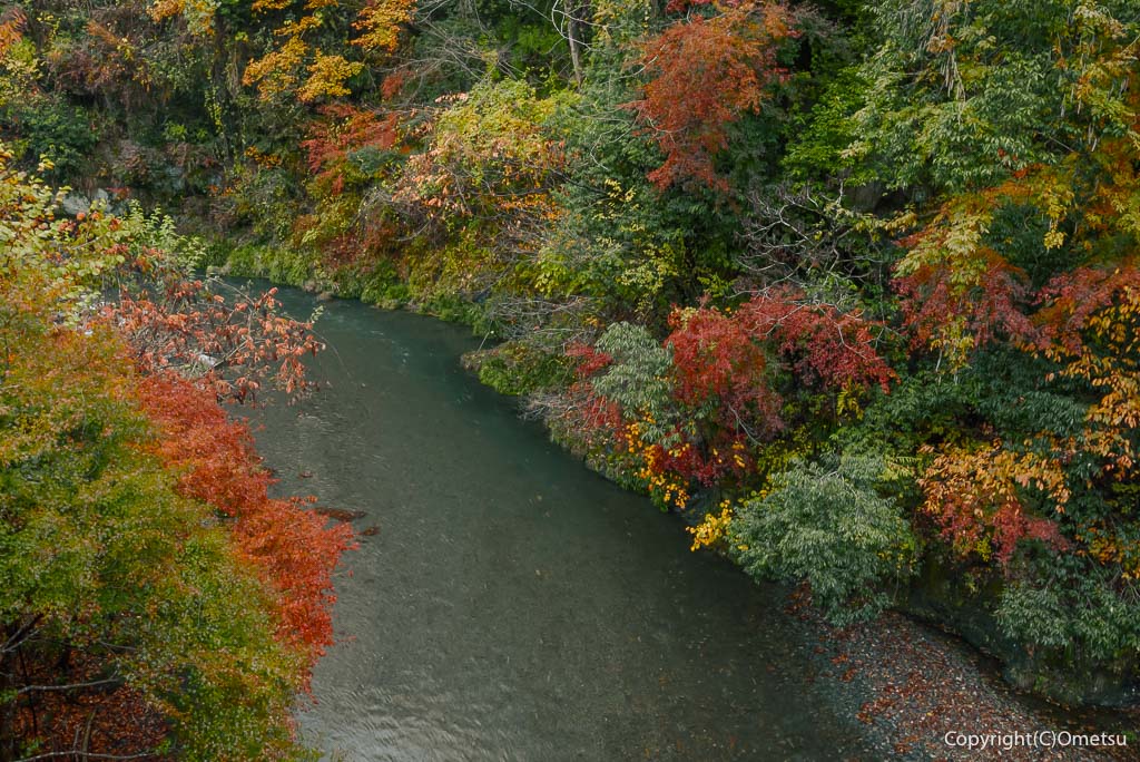檜原村・北秋川の紅葉