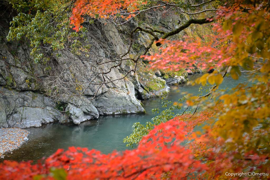 青梅市・御岳渓谷の紅葉と清流