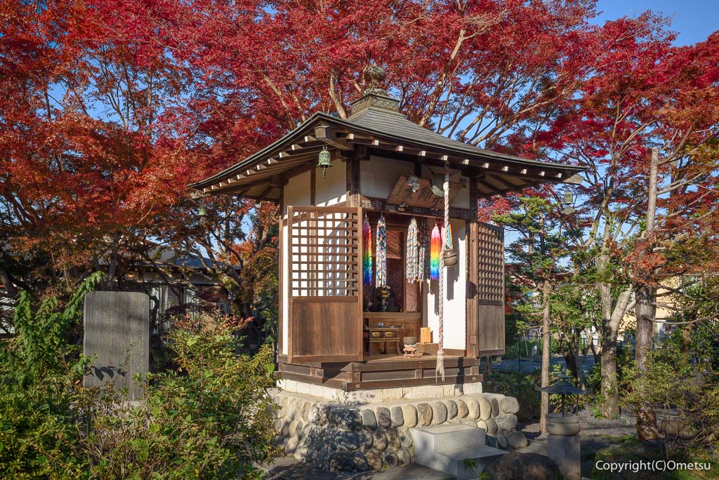 青梅市・玉泉寺の、薬師堂と、紅葉
