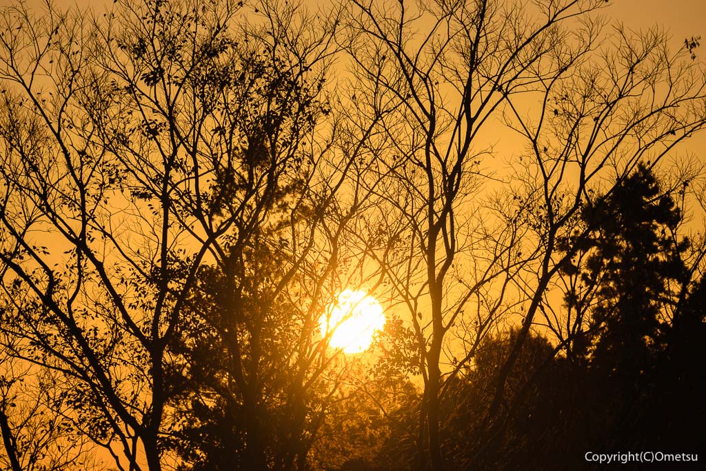 青梅市・下奥多摩橋からの、日の出