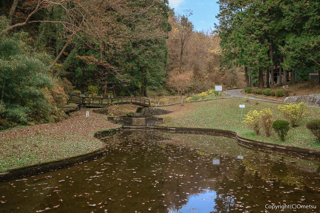 青梅市「風の子 太陽の子広場」の池