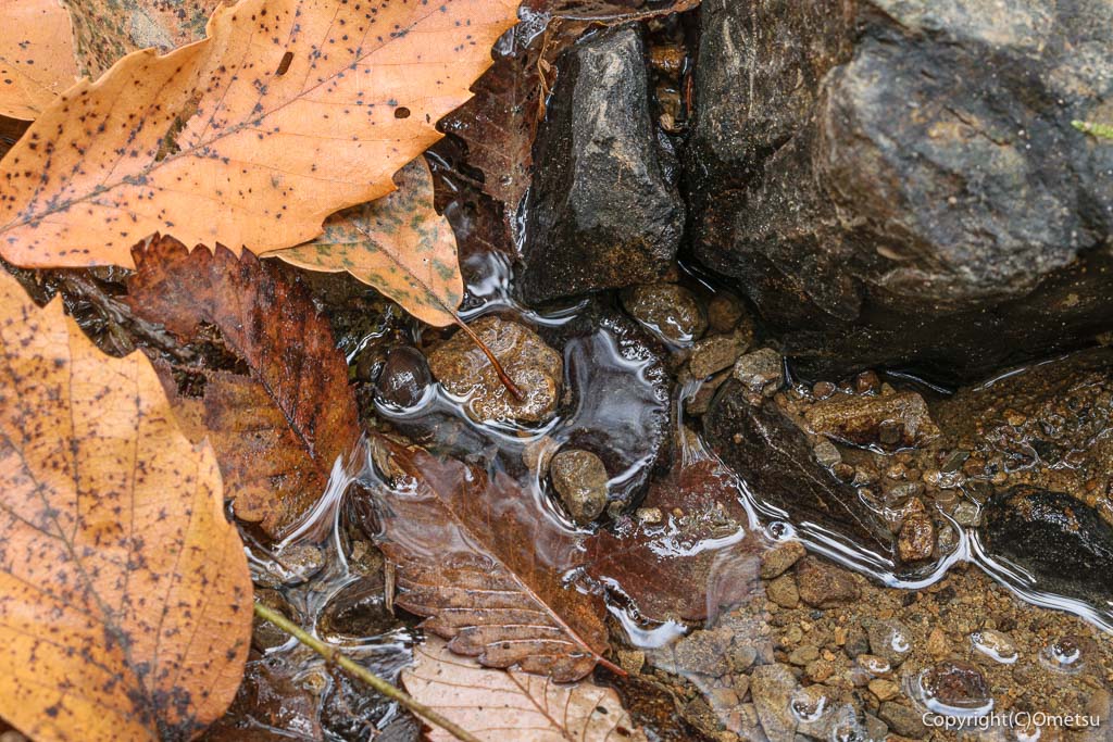 青梅市・霞川の源流