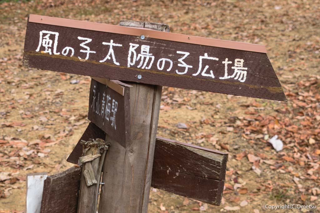 青梅市「風の子 太陽の子広場」分岐