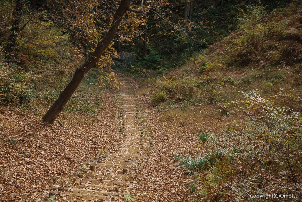 青梅市・霞川の源流付近の道