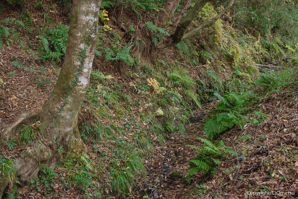 青梅市「風の子 太陽の子広場」付近の、霞川上流の沢