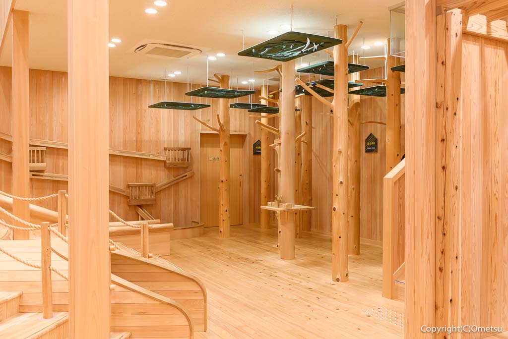 「檜原 森のおもちゃ美術館」の館内の、丸太の森