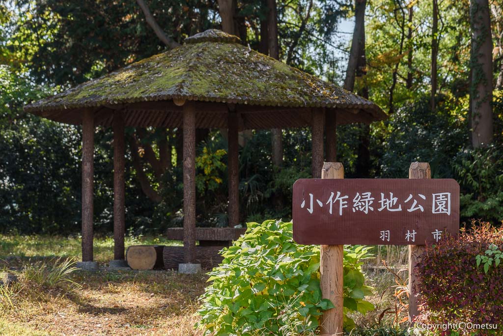 羽村市・小作緑地公園