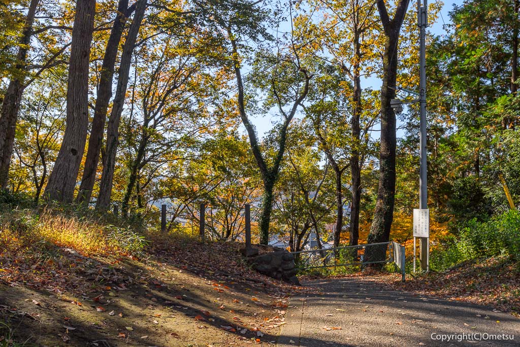 羽村市・小作緑地公園の、道