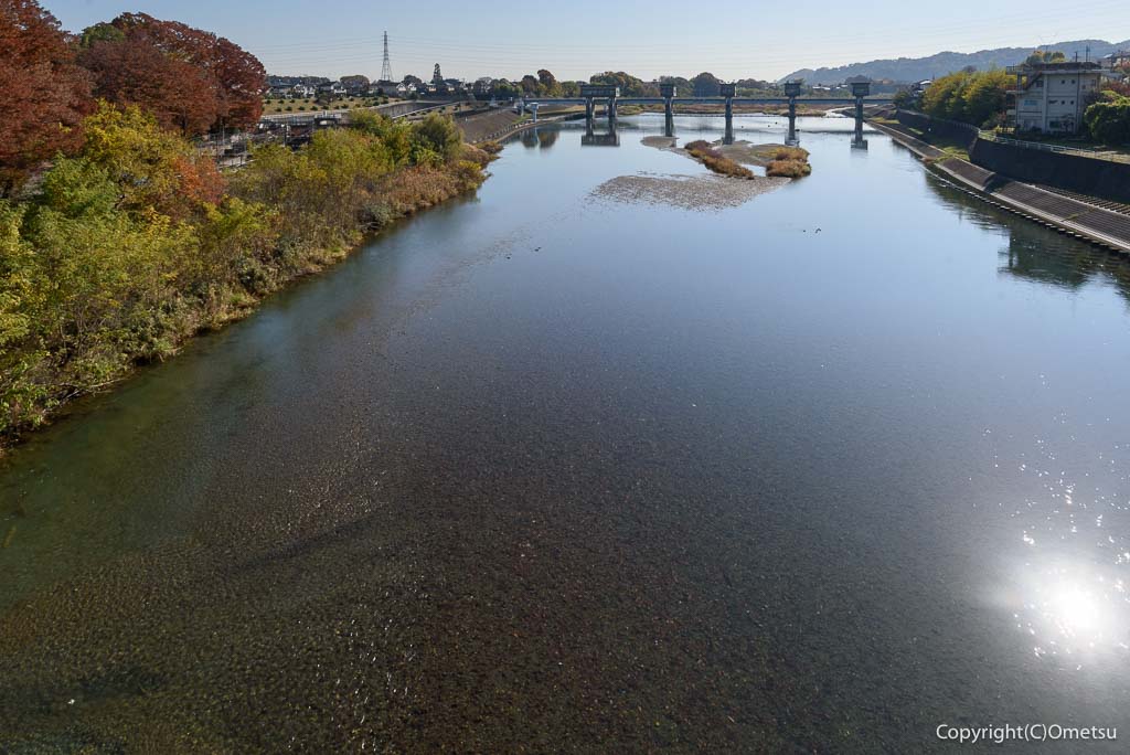 羽村市、多摩川橋からの、光景
