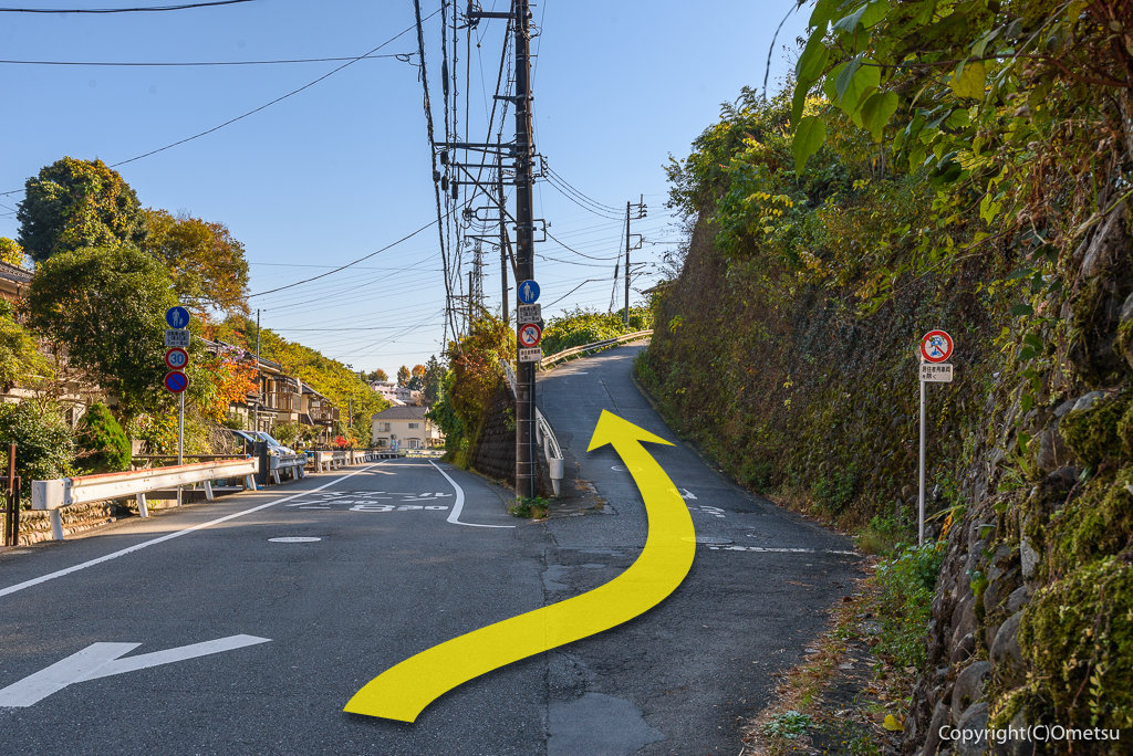 青梅市・友田の道