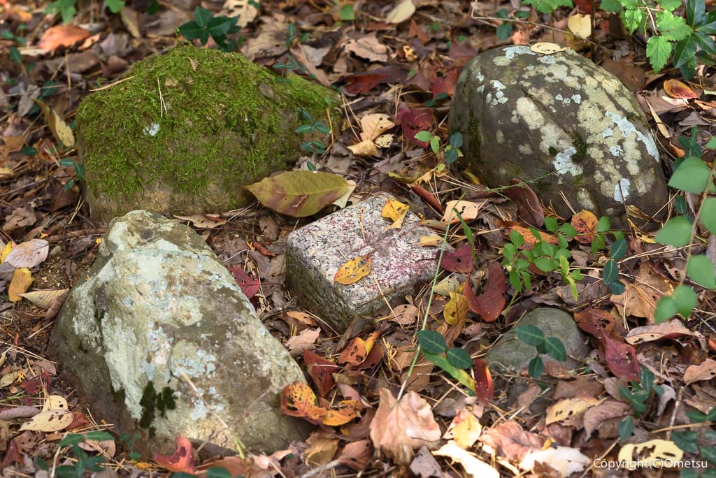 青梅市・友田の、244m峰の、四等三角点