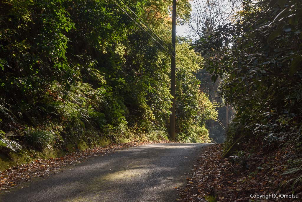 青梅市・長渕の、車道