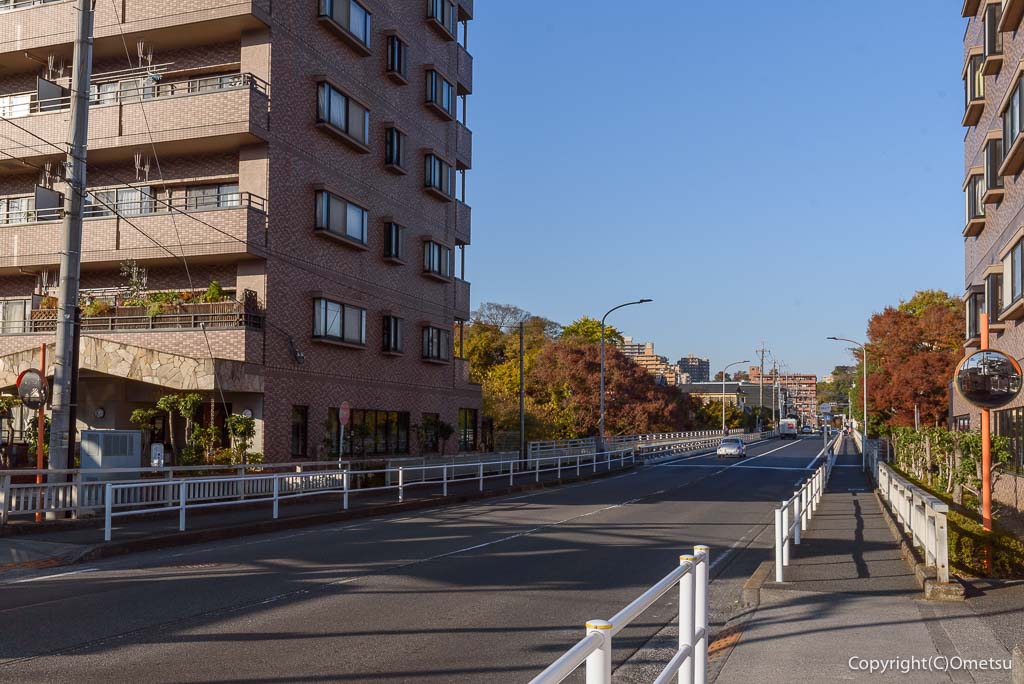 青梅市・下奥多摩橋通り
