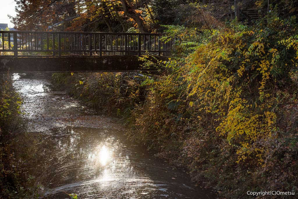 青梅市・大塚山公園付近の、霞川