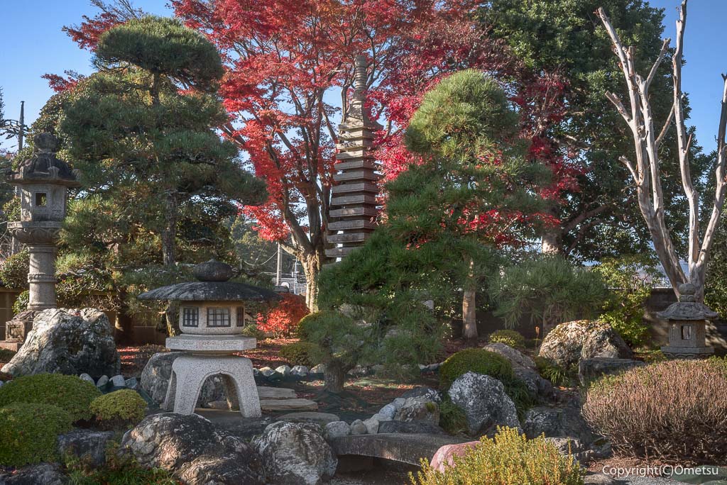 青梅市・報恩寺の、日本庭園の紅葉