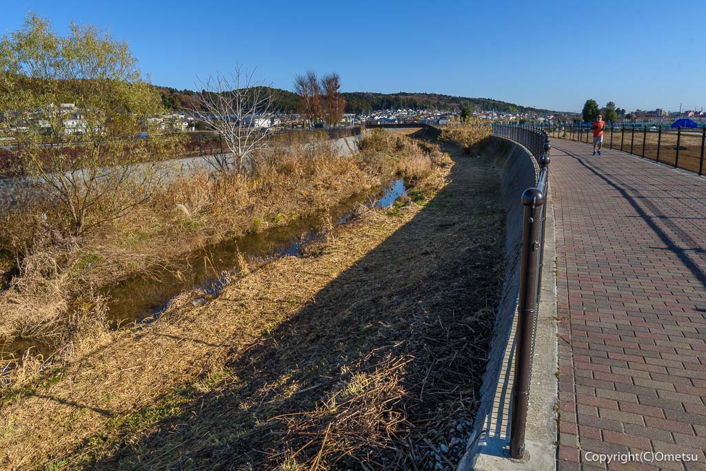 青梅市・今寺天皇塚水田付近の、霞川