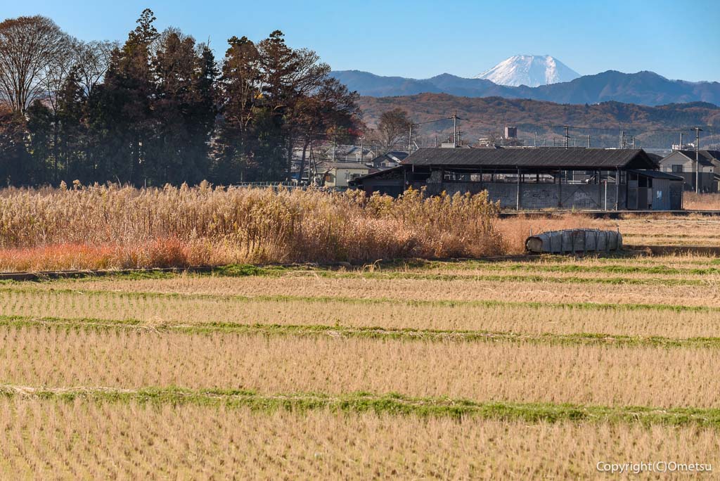 青梅市・今寺天皇塚水田からの、富士山