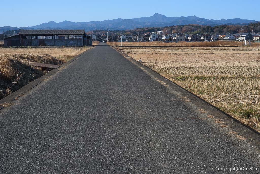 青梅市・今寺天皇塚水田からの、大岳山・御岳山