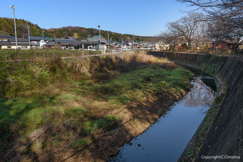 埼玉県・入間市、霞川の桜並木