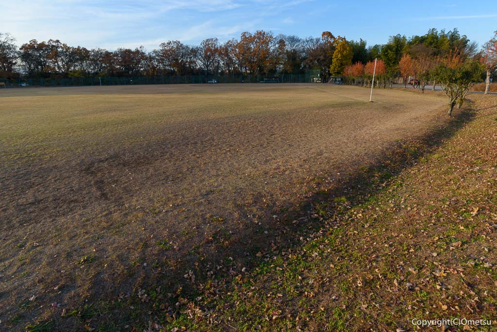 埼玉県・入間市の、霞川近くの黒須市民運動場