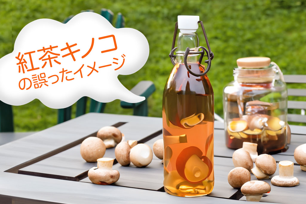 紅茶キノコの、誤ったイメージ