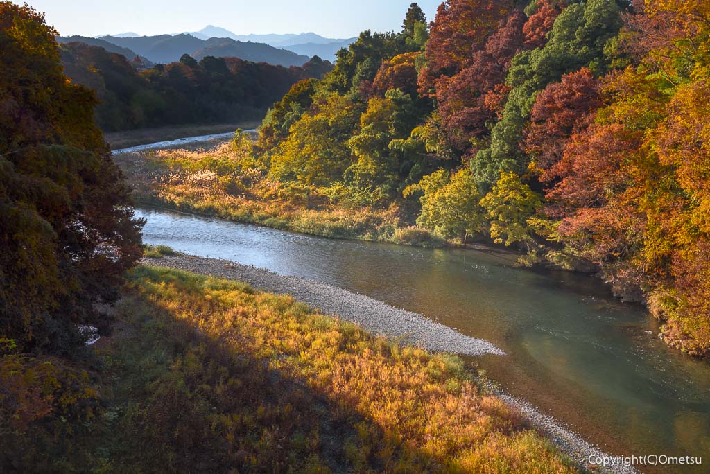 西多摩・青梅市の多摩川