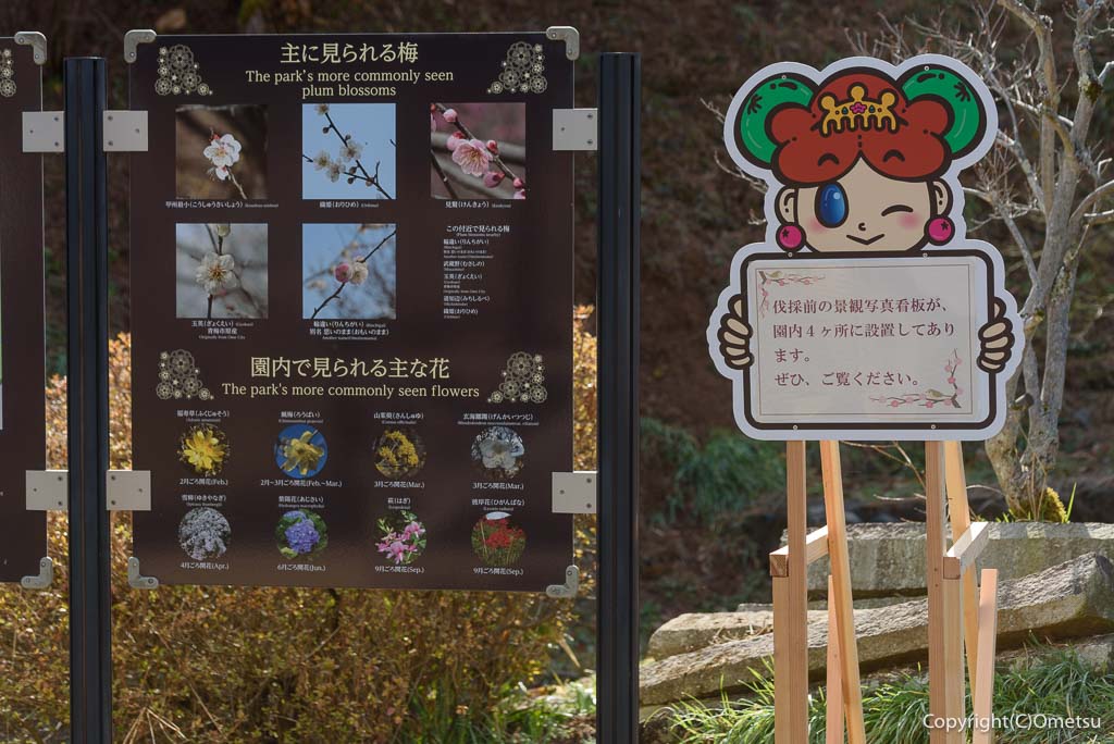 青梅市・吉野梅郷の「梅の公園」の看板と、ゆめうめちゃん