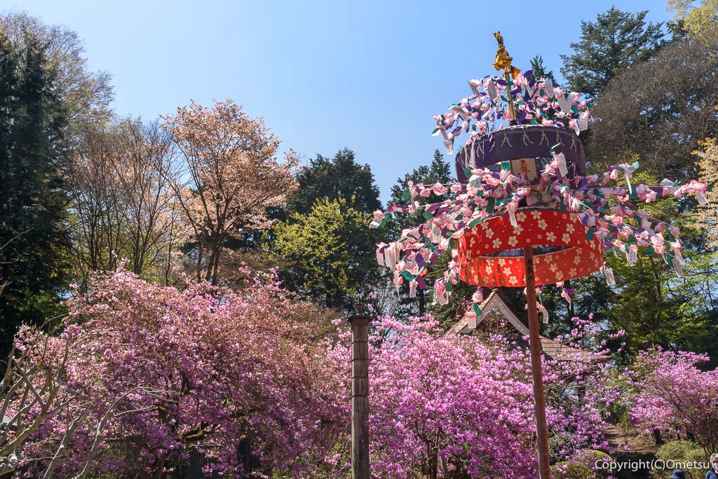 青梅市・高水山古式獅子舞の、万灯