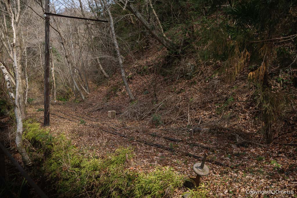 青梅市 雷電鉱山・二俣尾専用線の廃線跡のレールと架線柱