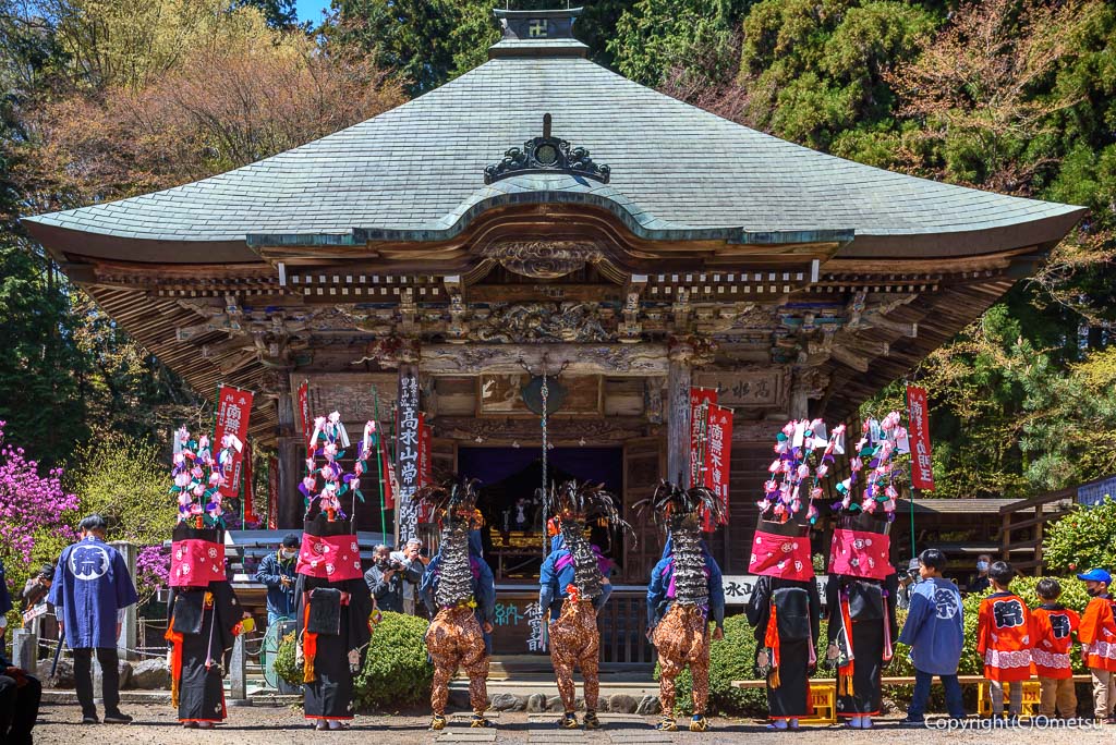 青梅市・高水山古式獅子舞の、お宮参り