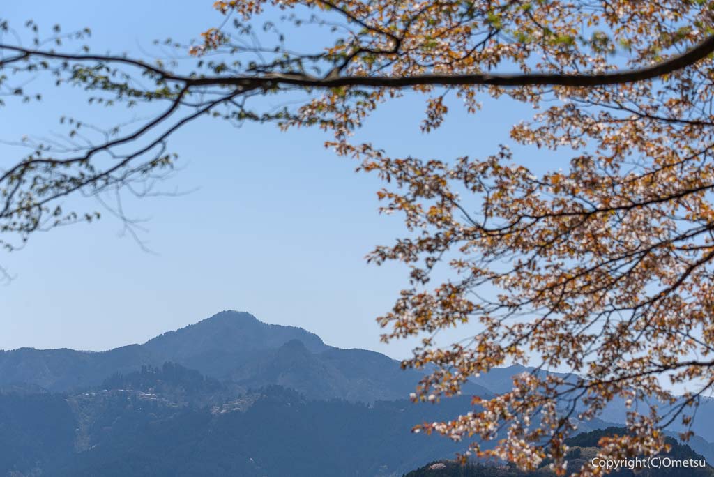 青梅市・高水山からの、大岳山