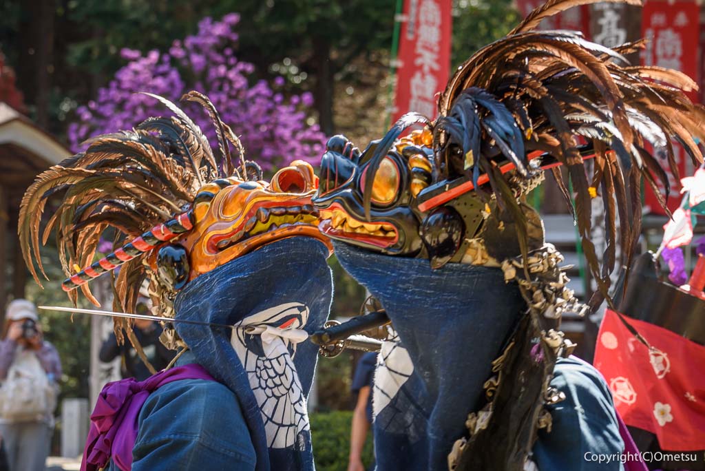 青梅市・高水山古式獅子舞の、太刀懸(たちがかり)の、2匹の獅子舞