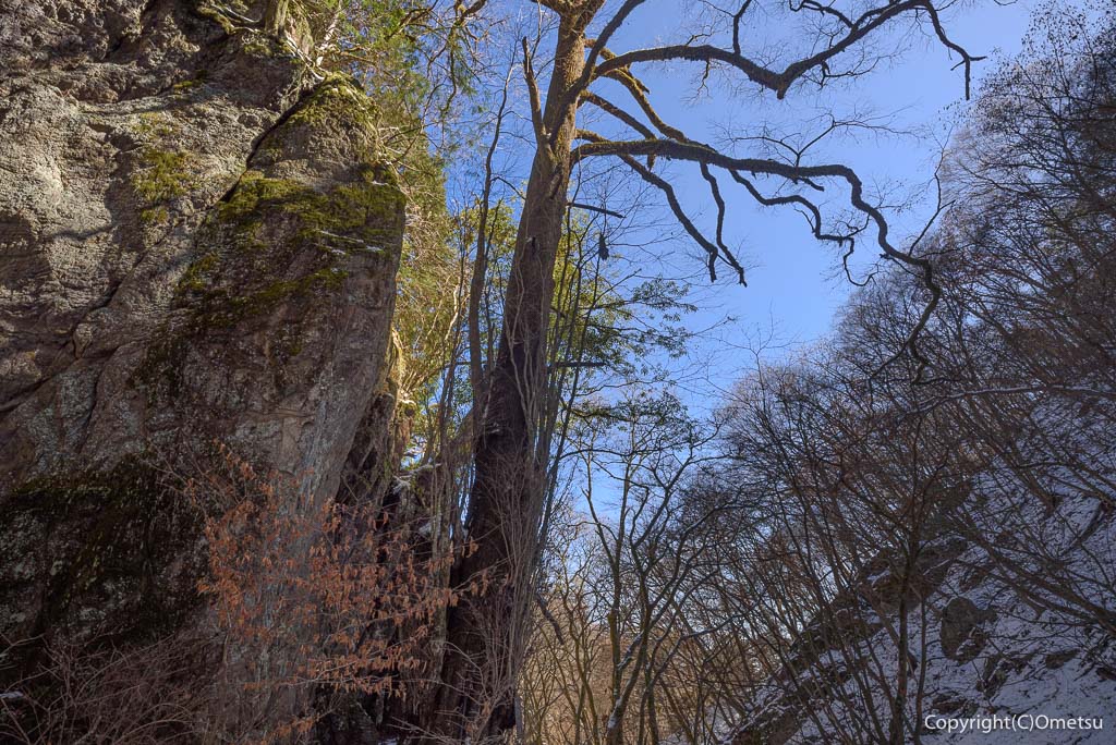 青梅・御岳山、ロックガーデン