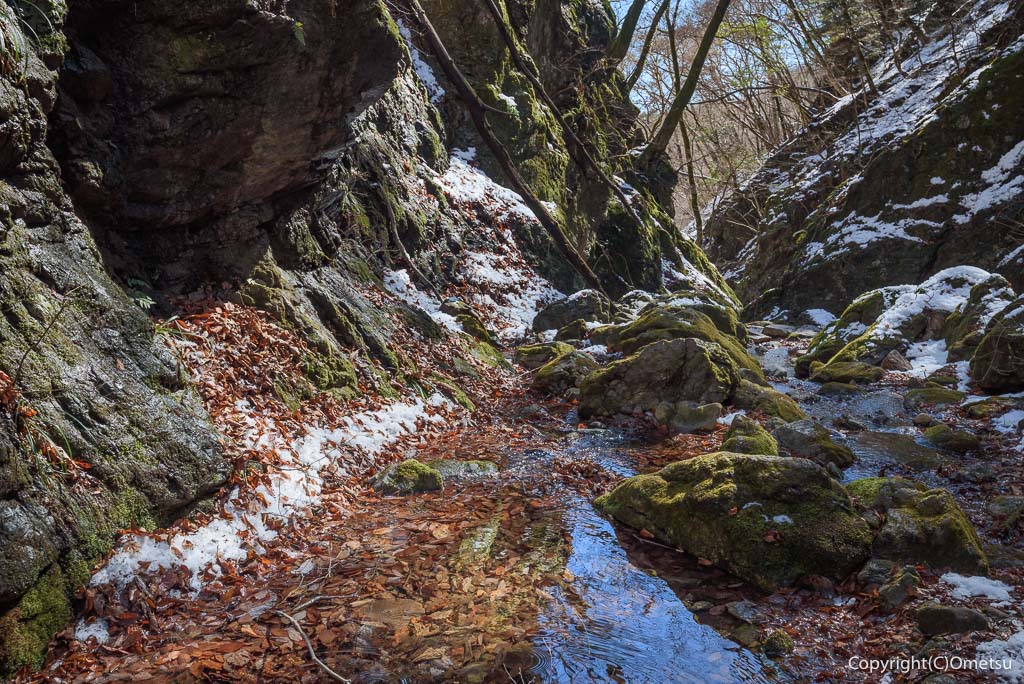 青梅・御岳山、雪のロックガーデンの清流と苔