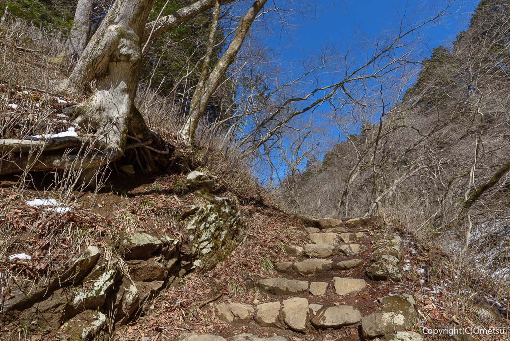 青梅・御岳山、天狗岩付近の登山道