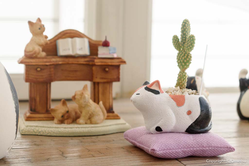 羽村「おうちCAFE ミュウ」の、猫のディスプレイ