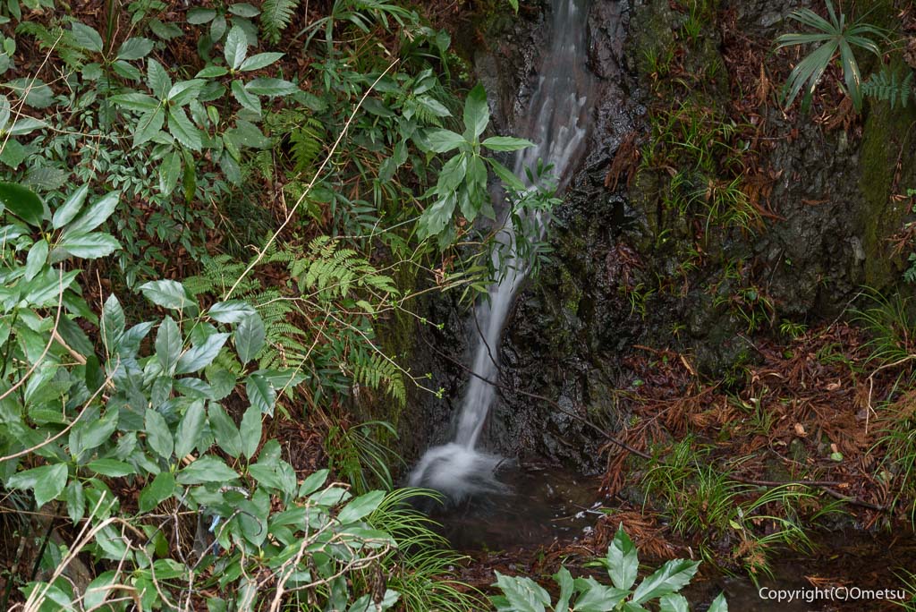 青梅市・二俣尾の無名滝